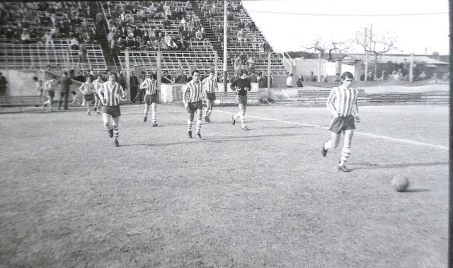vs telmo